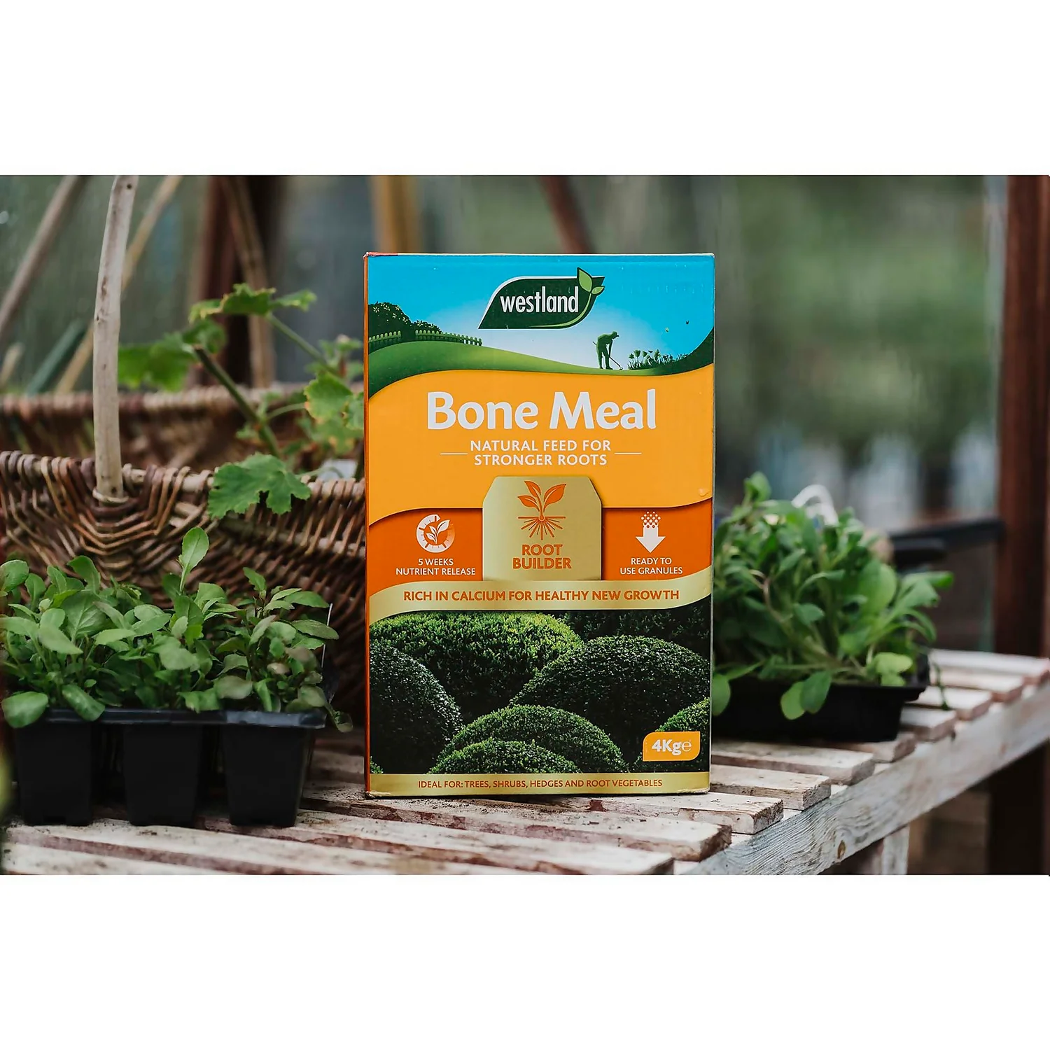 Westland Bone Meal Root Builder - 4 Kg - Image 2