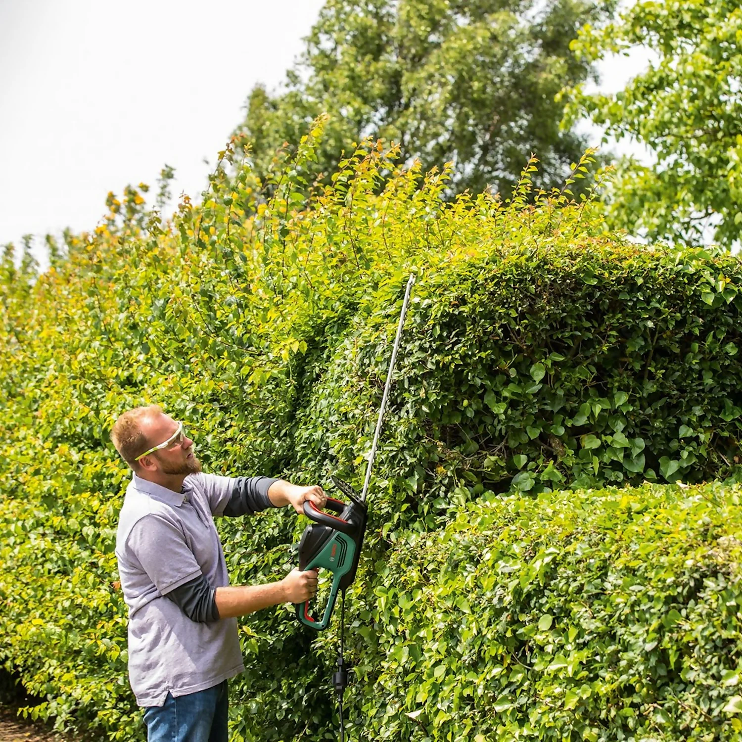 Bosch 500W Advanced HedgeCut 65 Hedge Trimmer - Image 7