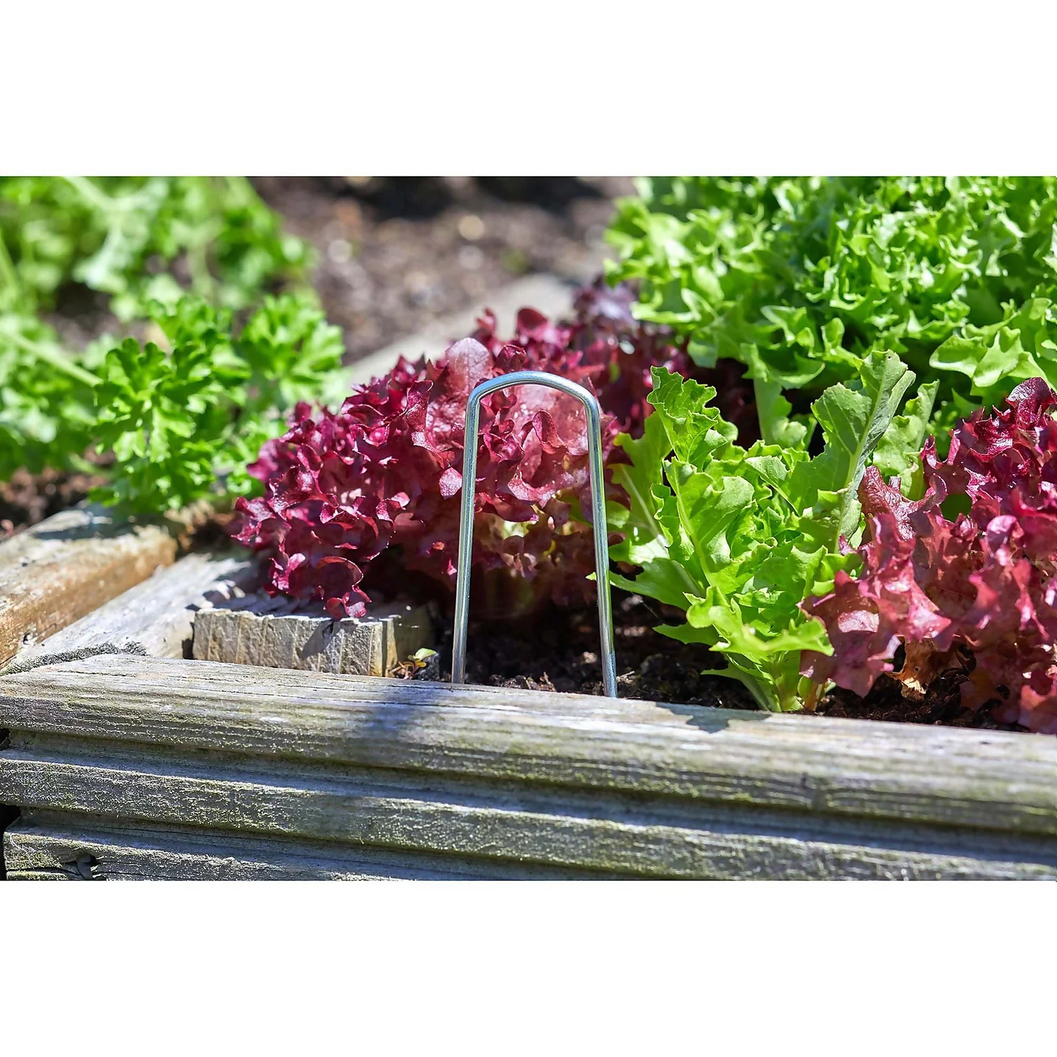 Ground Hooks - 10 Pack