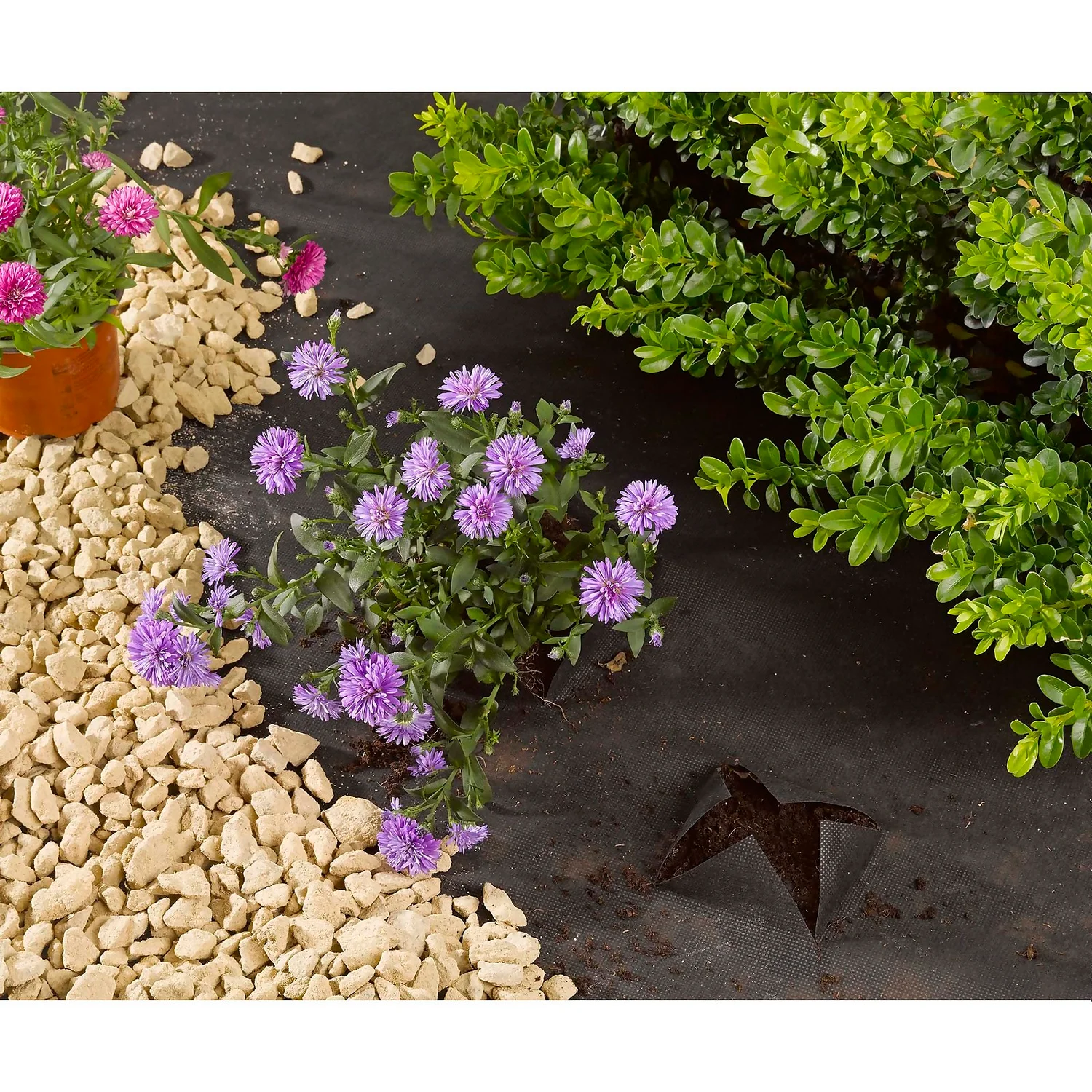 Smart Garden Ground Control Fabric - 15m X 1m (90gsm) - Image 2