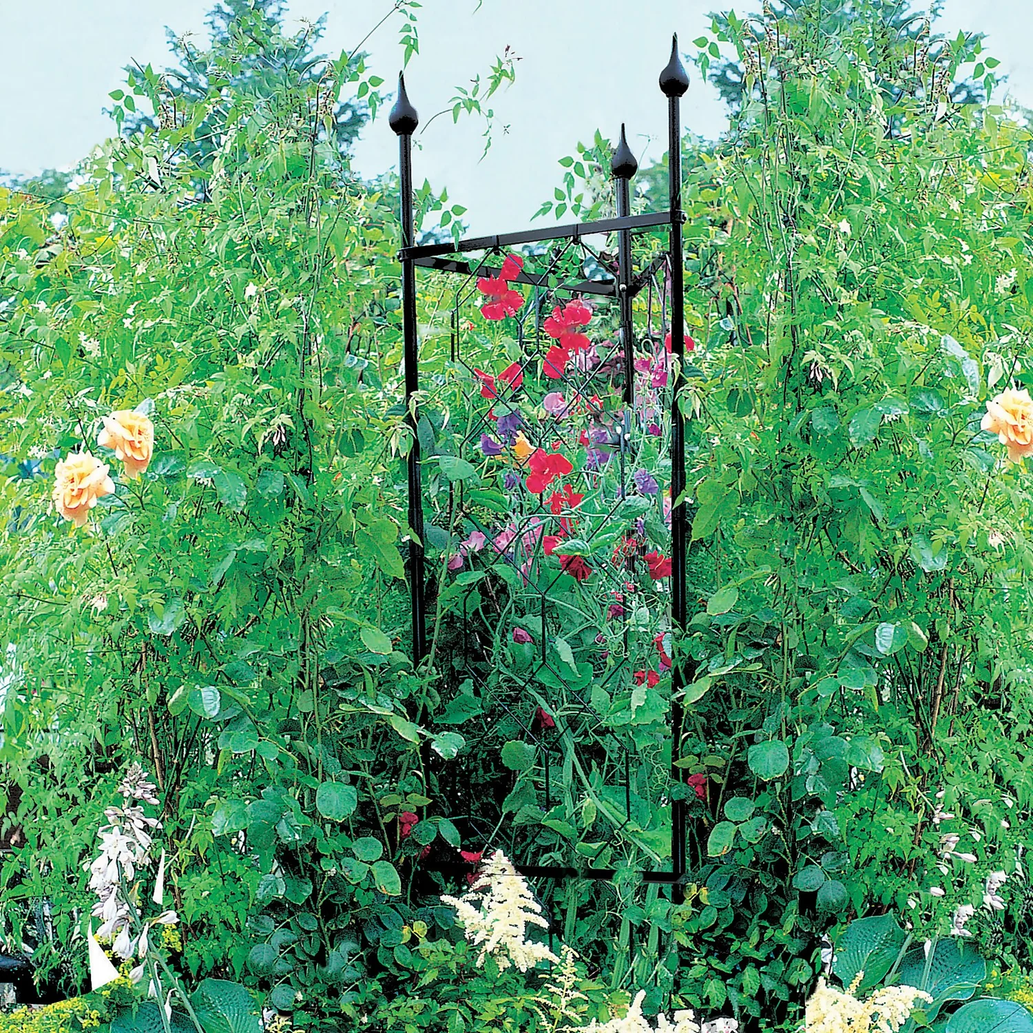 Agriframes Tricorn Decorative Garden Obelisk - Black - Image 2