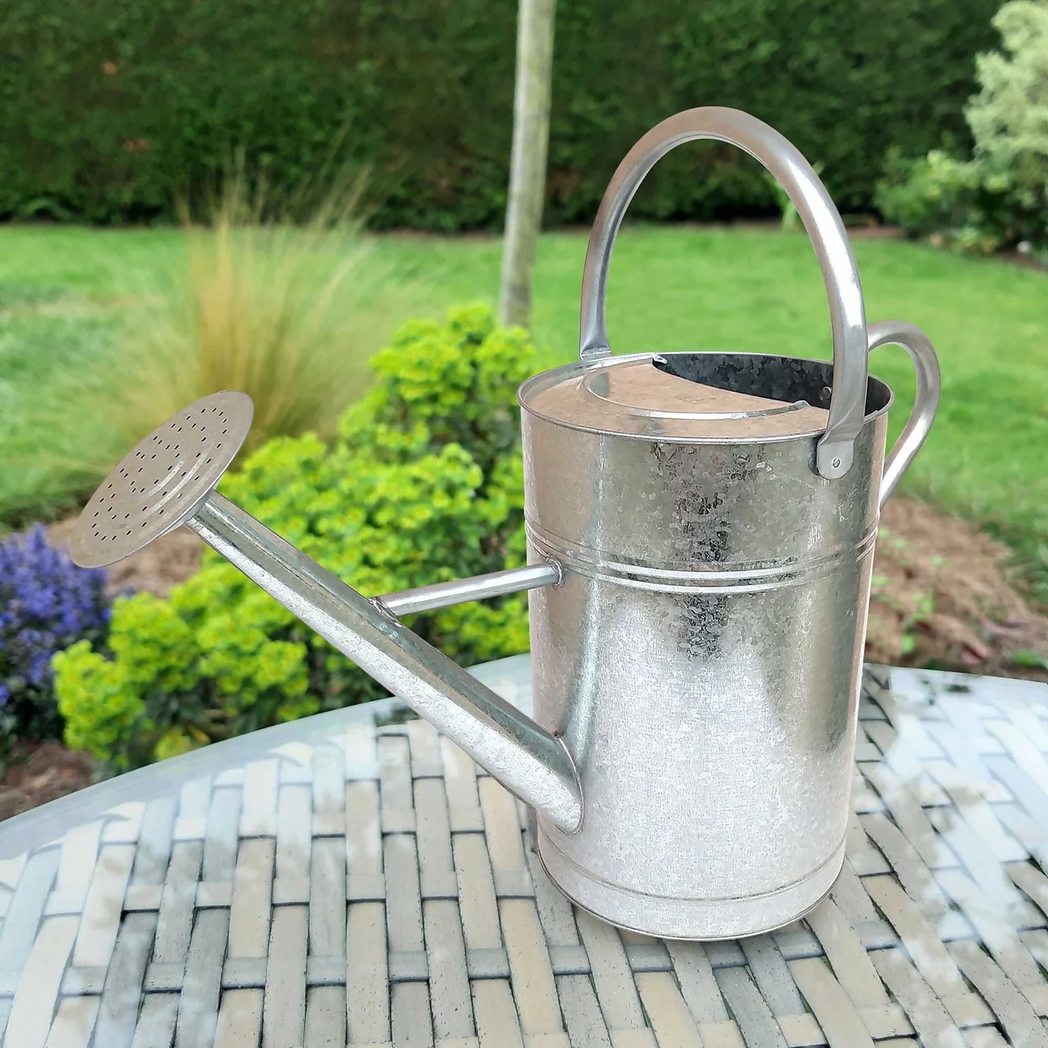 Galvanized Watering Can - 9L - Image 4