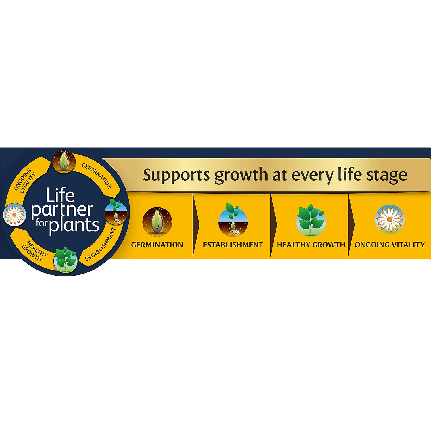 Westland Peat Free Multi-Purpose Compost With John Innes 25L - Image 3