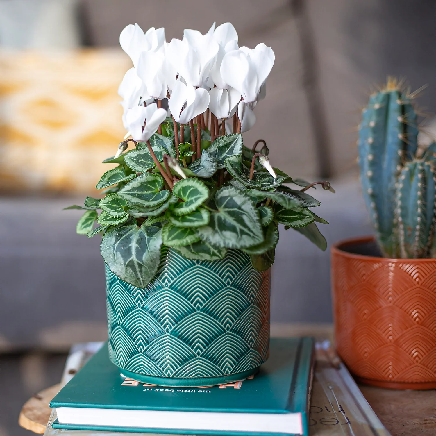 Art Deco Indoor Plant Pot - 12cm - Image 6