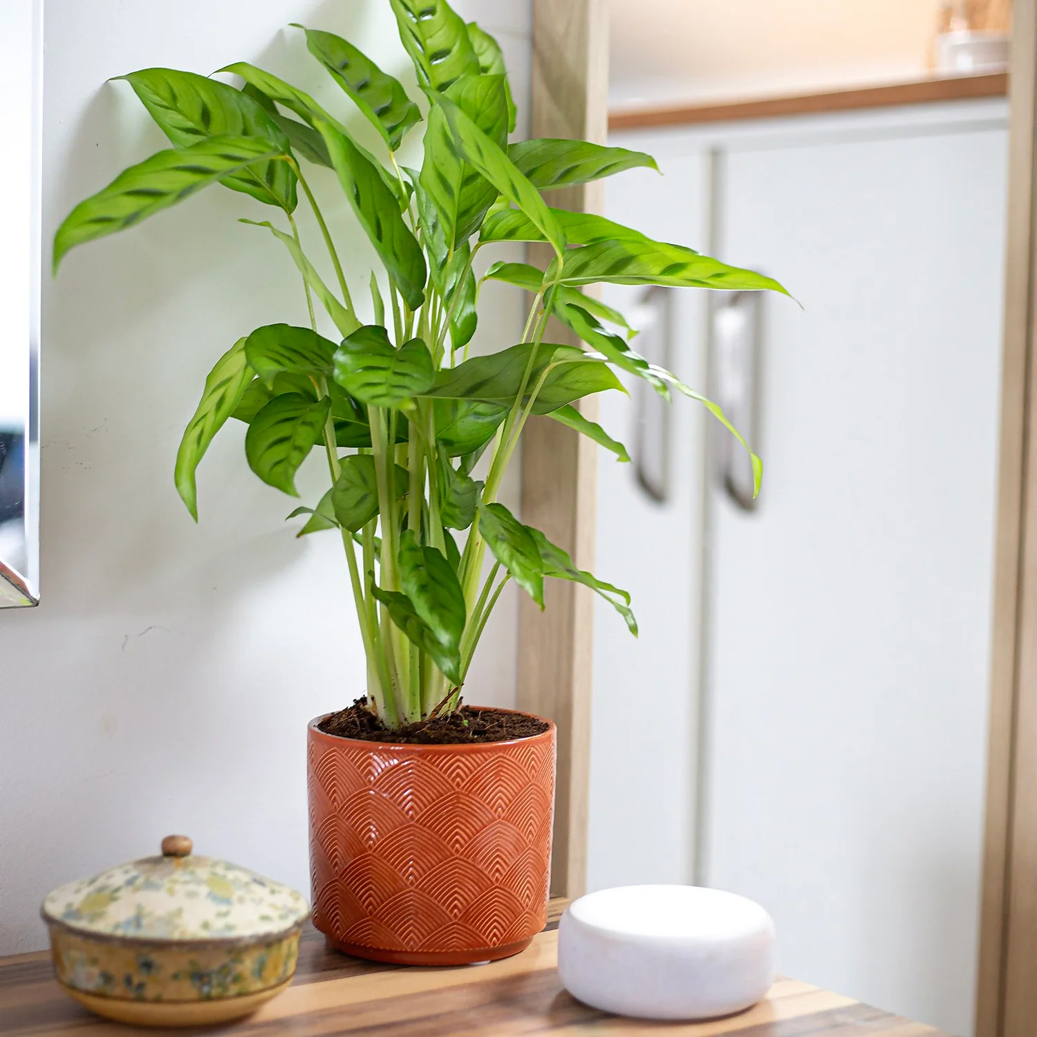 Art Deco Indoor Plant Pot - 12cm - Image 7