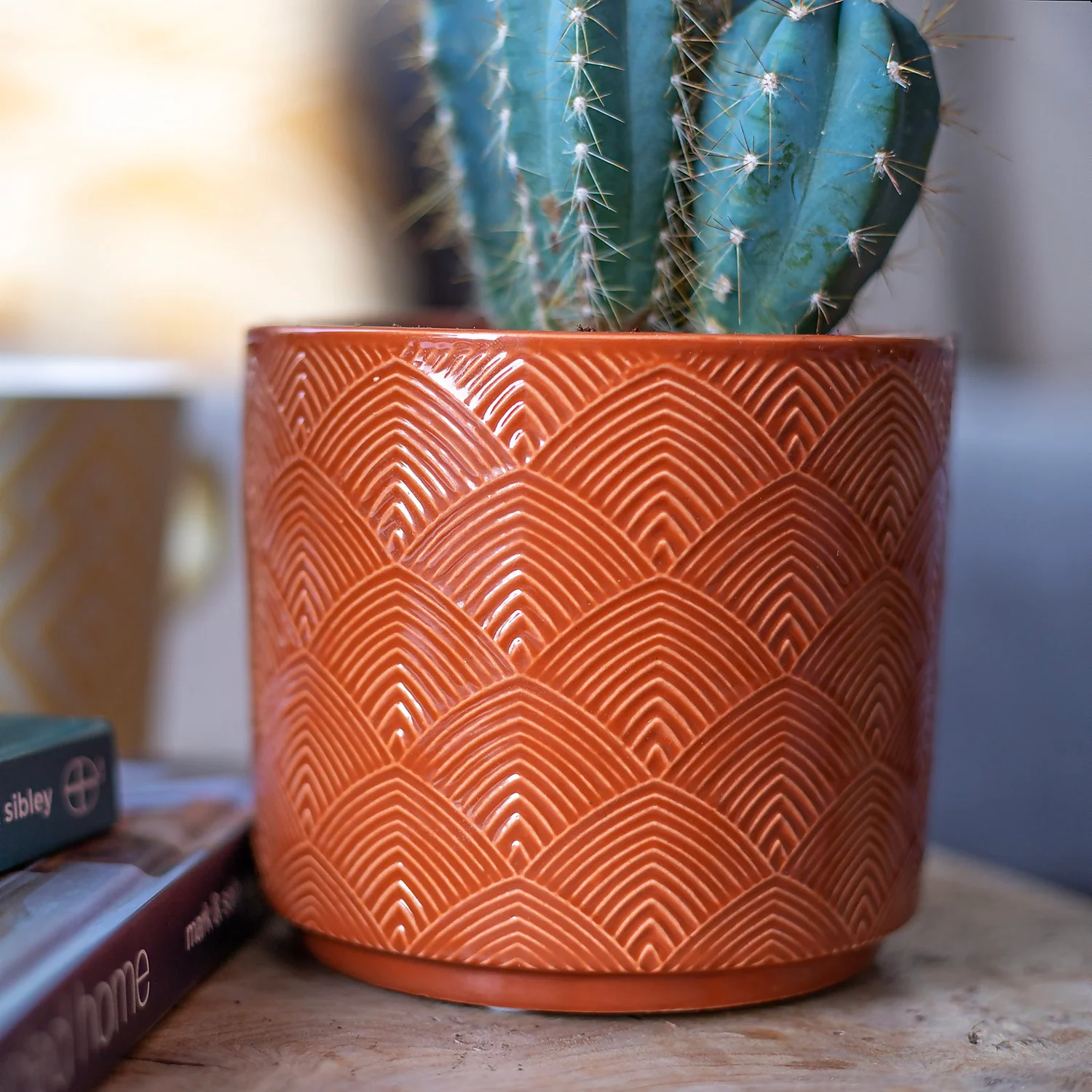 Art Deco Indoor Plant Pot - 12cm - Image 9